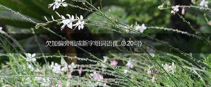 欠加偏旁组成新字组词语(汇总20句),第1张