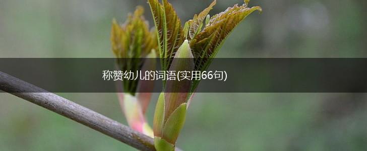 称赞幼儿的词语(实用66句),第1张