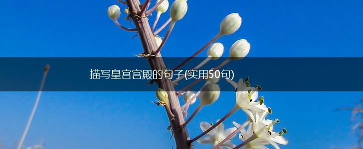 描写皇宫宫殿的句子(实用50句),第1张