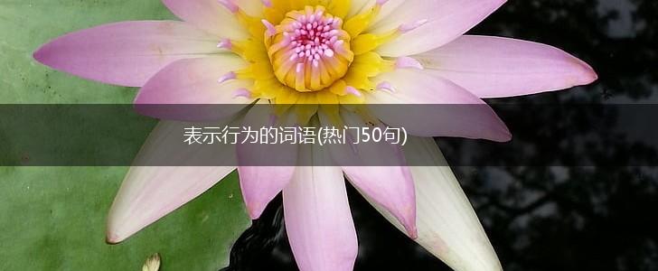 表示行为的词语(热门50句),第1张