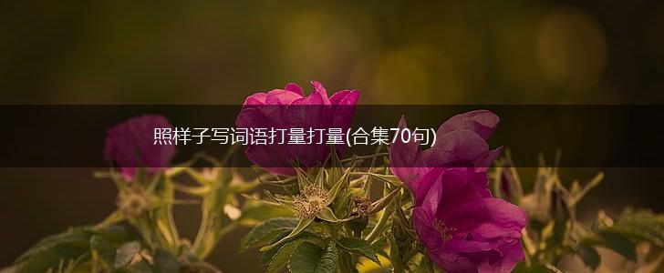照样子写词语打量打量(合集70句),第1张
