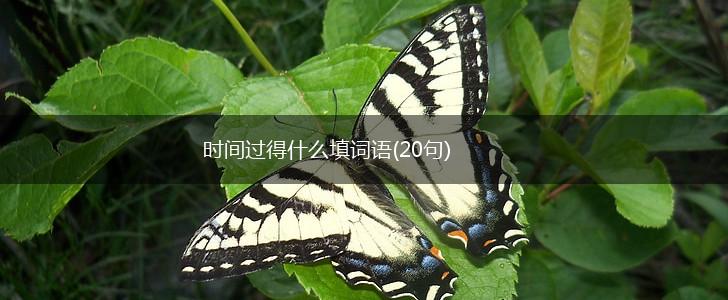 时间过得什么填词语(20句),第1张