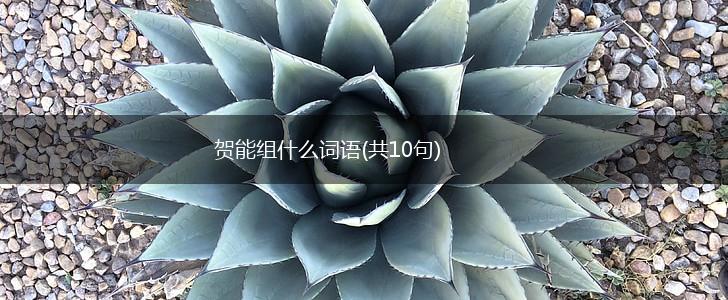 贺能组什么词语(共10句),第1张