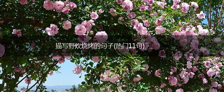 描写野炊烧烤的句子(热门11句),第1张