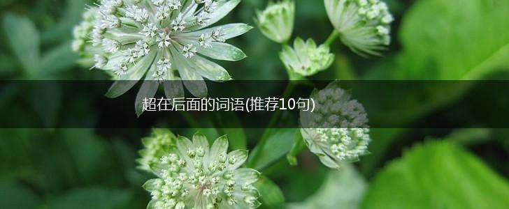 超在后面的词语(推荐10句),第1张