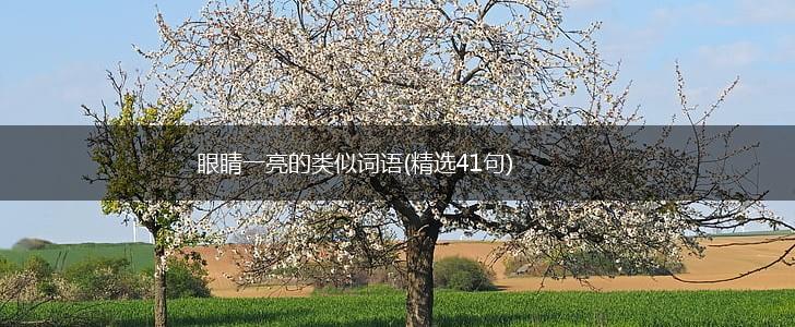 眼睛一亮的类似词语(精选41句),第1张