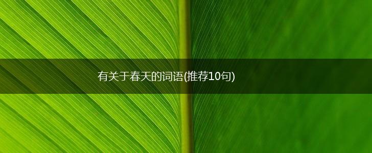 有关于春天的词语(推荐10句),第1张