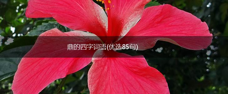 鼎的四字词语(优选85句),第1张