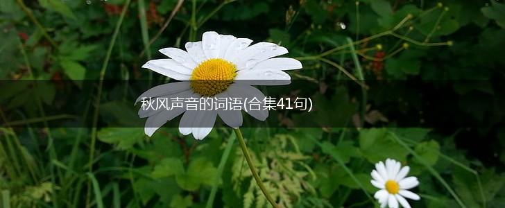 秋风声音的词语(合集41句),第1张