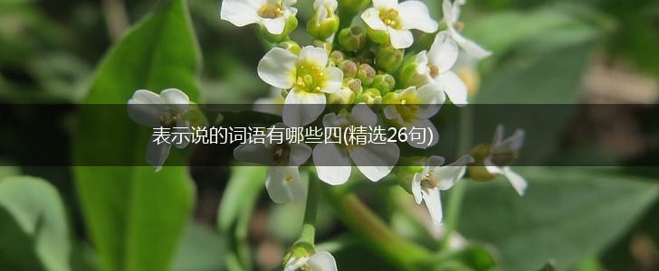 表示说的词语有哪些四(精选26句),第1张
