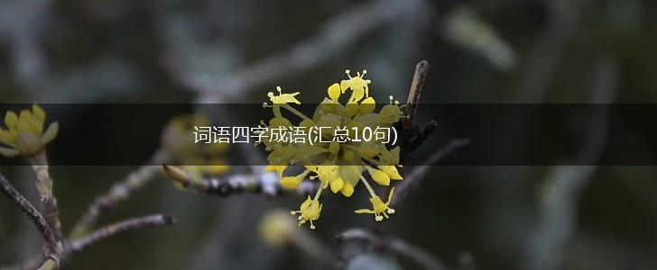词语四字成语(汇总10句),第1张