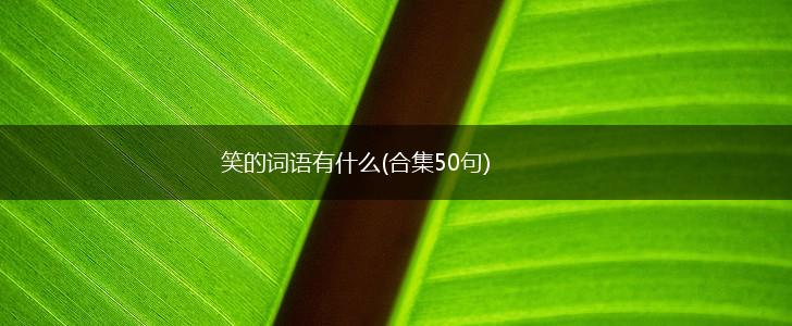 笑的词语有什么(合集50句),第1张