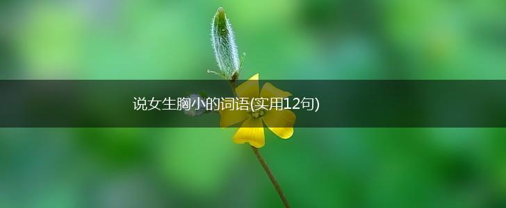 说女生胸小的词语(实用12句),第1张