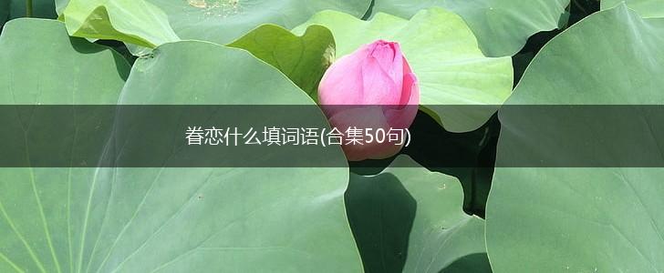 眷恋什么填词语(合集50句),第1张