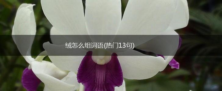 绒怎么组词语(热门13句),第1张