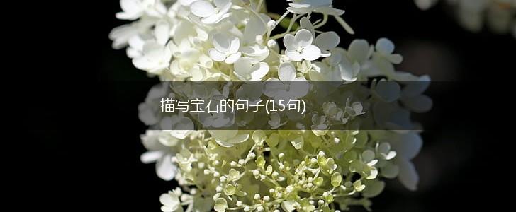 描写宝石的句子(15句),第1张