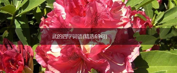 武的四字词语(精选69句),第1张