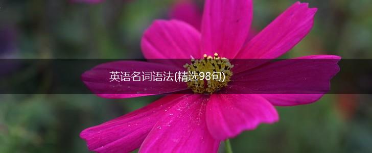 英语名词语法(精选98句),第1张
