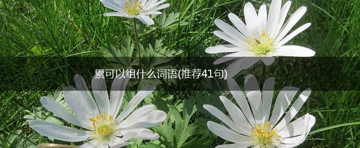 累可以组什么词语(推荐41句),第1张