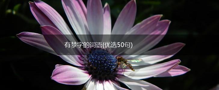 有梦字的词语(优选50句),第1张