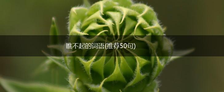 瞧不起的词语(推荐50句),第1张