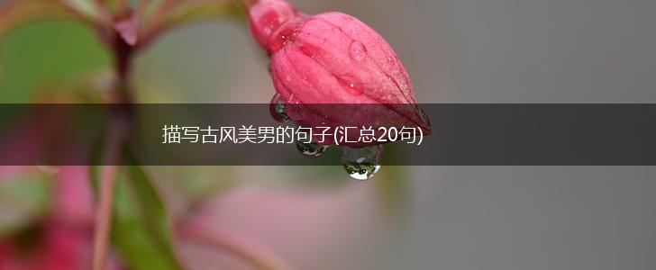 描写古风美男的句子(汇总20句),第1张