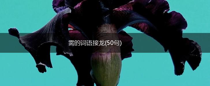 需的词语接龙(50句),第1张