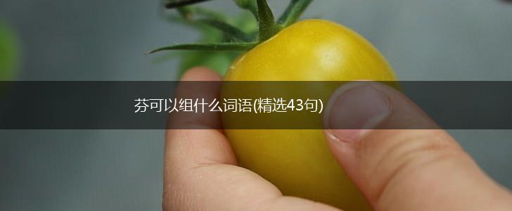 芬可以组什么词语(精选43句),第1张