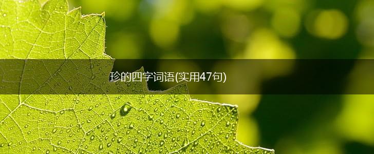 珍的四字词语(实用47句),第1张