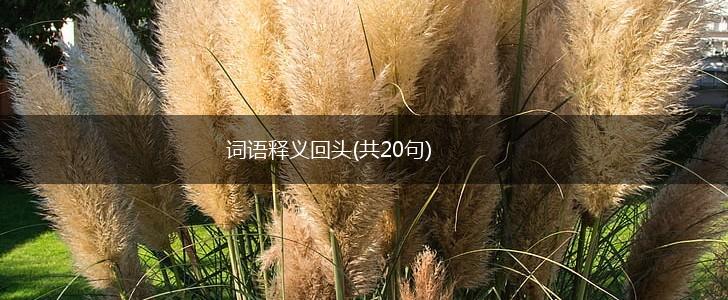 词语释义回头(共20句),第1张