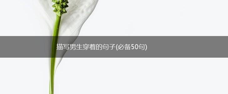 描写男生穿着的句子(必备50句),第1张