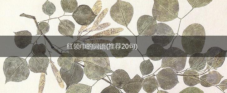 红领巾的词语(推荐20句),第1张
