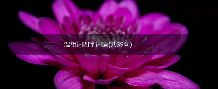 温组词四字词语(共39句),第1张