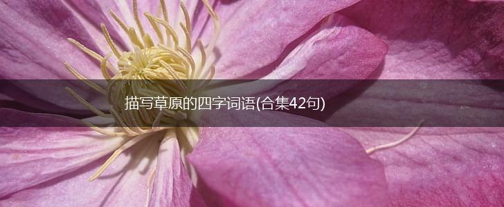 描写草原的四字词语(合集42句),第1张