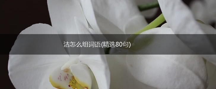洁怎么组词语(精选80句),第1张