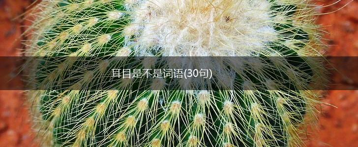 耳目是不是词语(30句),第1张