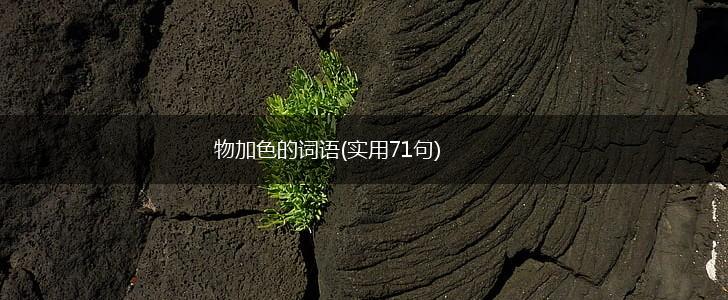 物加色的词语(实用71句),第1张
