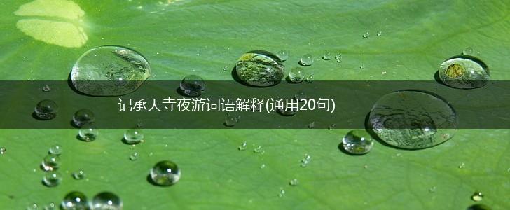 记承天寺夜游词语解释(通用20句),第1张