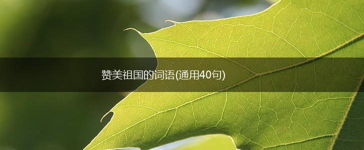 赞美祖国的词语(通用40句),第1张