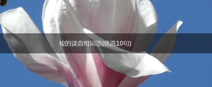 梭的读音组词语(优选10句),第1张