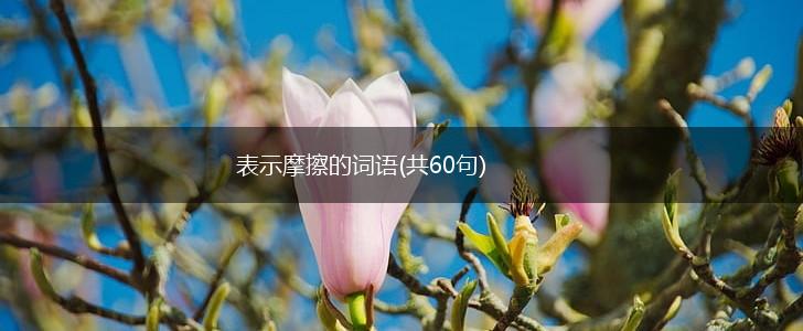 表示摩擦的词语(共60句),第1张
