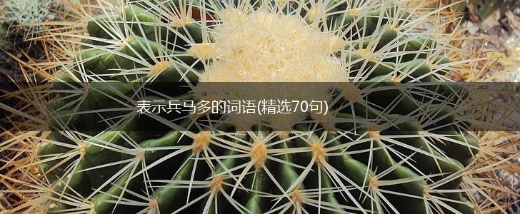 表示兵马多的词语(精选70句),第1张