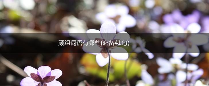 顽组词语有哪些(必备41句),第1张