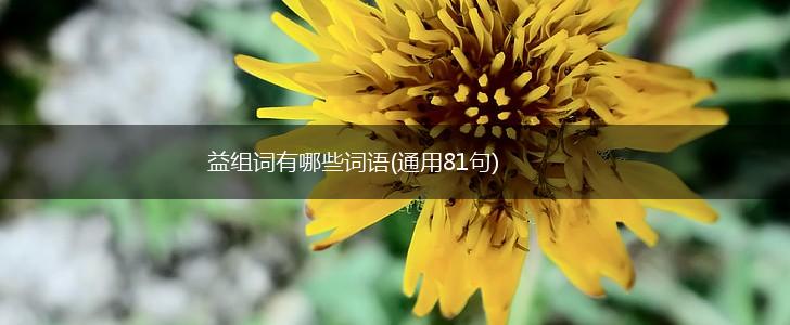 益组词有哪些词语(通用81句),第1张