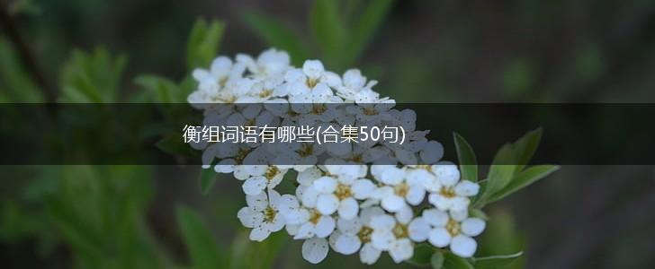 衡组词语有哪些(合集50句),第1张