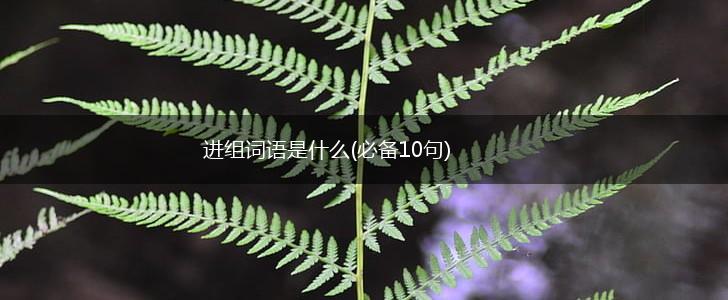 进组词语是什么(必备10句),第1张