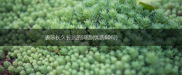 表示长久长远的词语(优选60句),第1张
