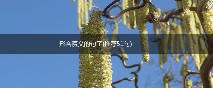 形容遵义的句子(推荐51句),第1张