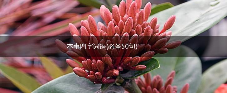 本事四字词语(必备50句),第1张