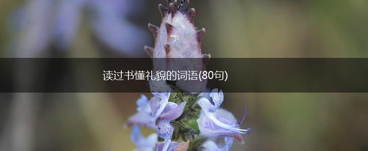 读过书懂礼貌的词语(80句),第1张